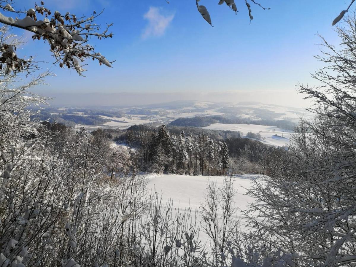 Loft Ueber Dem Bodensee Heiligenberg Bagian luar foto