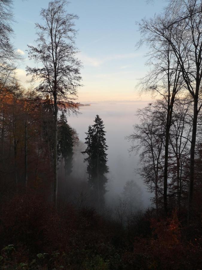 Loft Ueber Dem Bodensee Heiligenberg Bagian luar foto